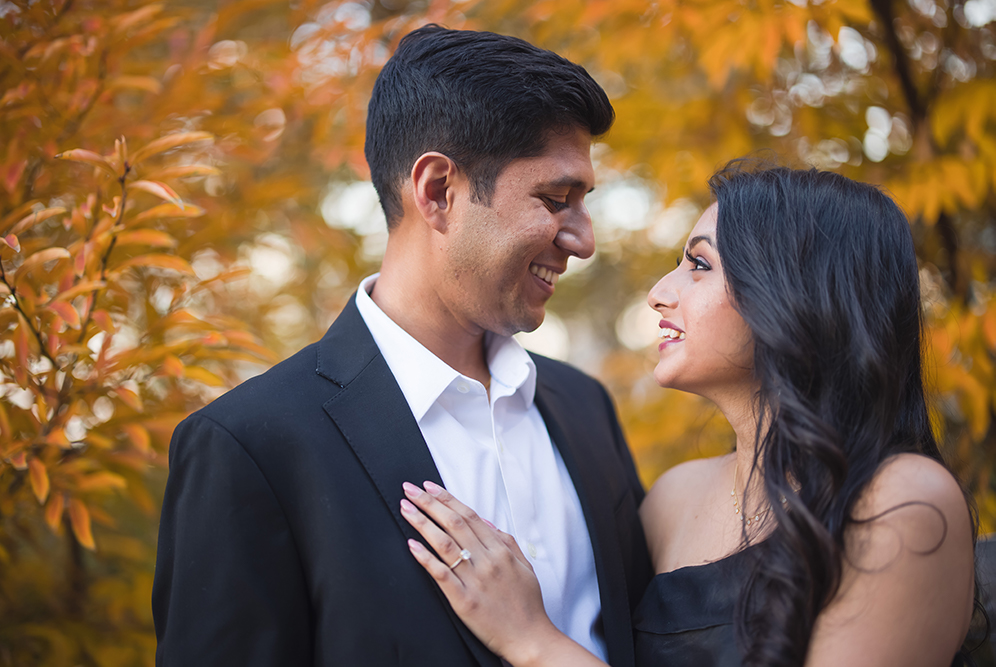 Indian-Wedding-Photography-Destination-Wedding-New York-Brooklyn Bridge-Engagement 3