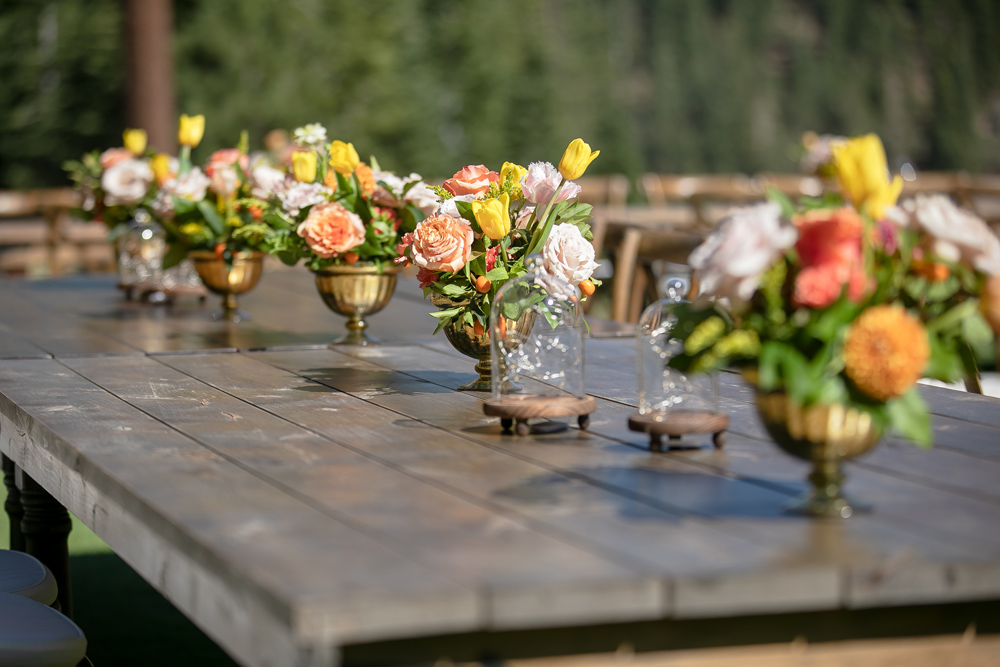 Indian Wedding-Garba-The Ritz-Carlton Lake Tahoe 6