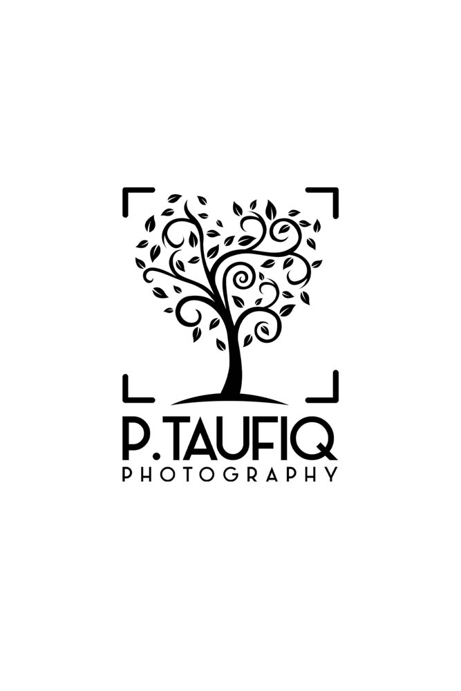 Indian-Wedding-Photography-Boston-PTaufiq-01