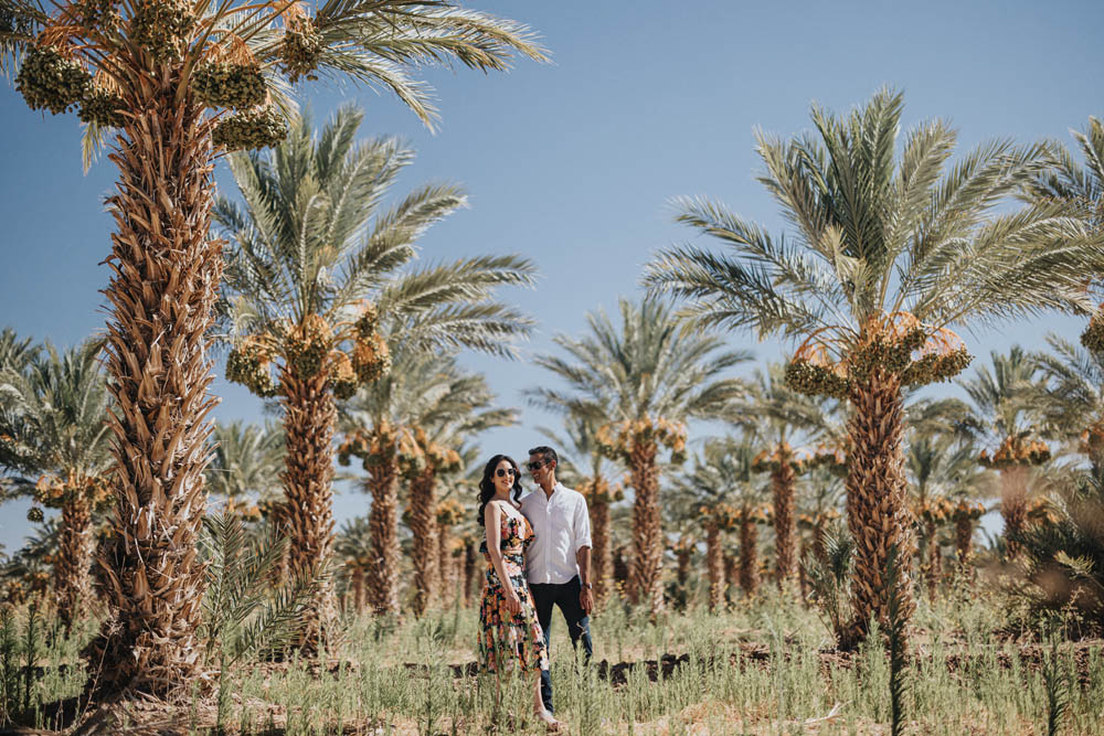 Indian-Wedding-Photography-Boston-PTaufiq-California-Engagement 42