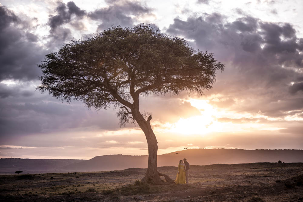 Indian-Wedding-Photography-Boston-PTaufiq-Kenya-Engagement 19