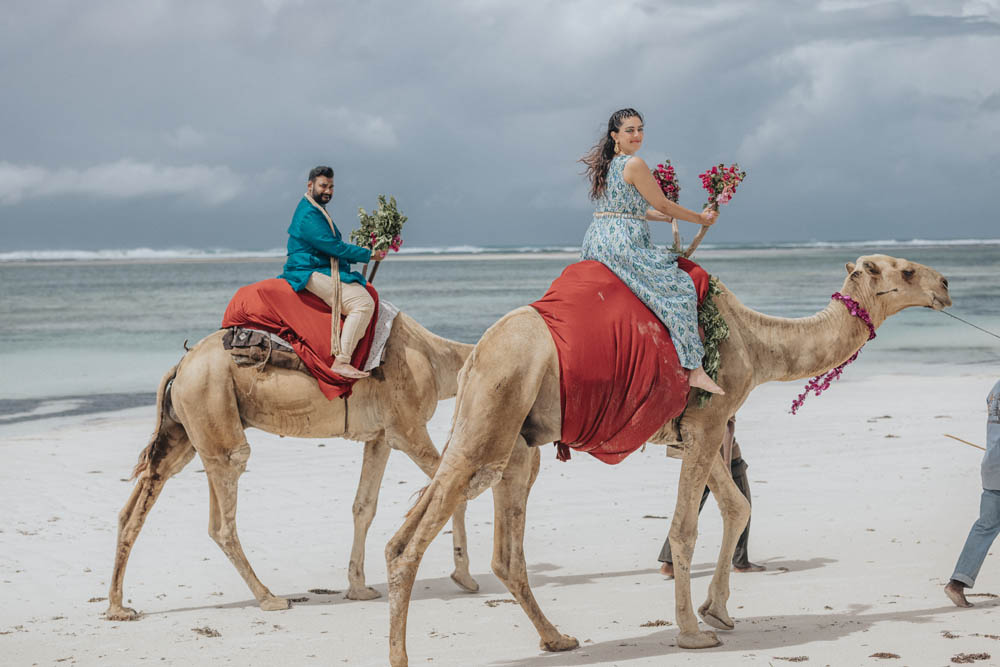 Indian-Wedding-Photography-Boston-PTaufiq-Kenya-Engagement 2