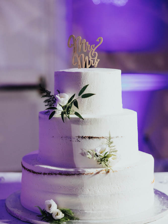 Indian-Wedding-Photography-PTaufiq-Boston Marriott Burlington- Reception 9